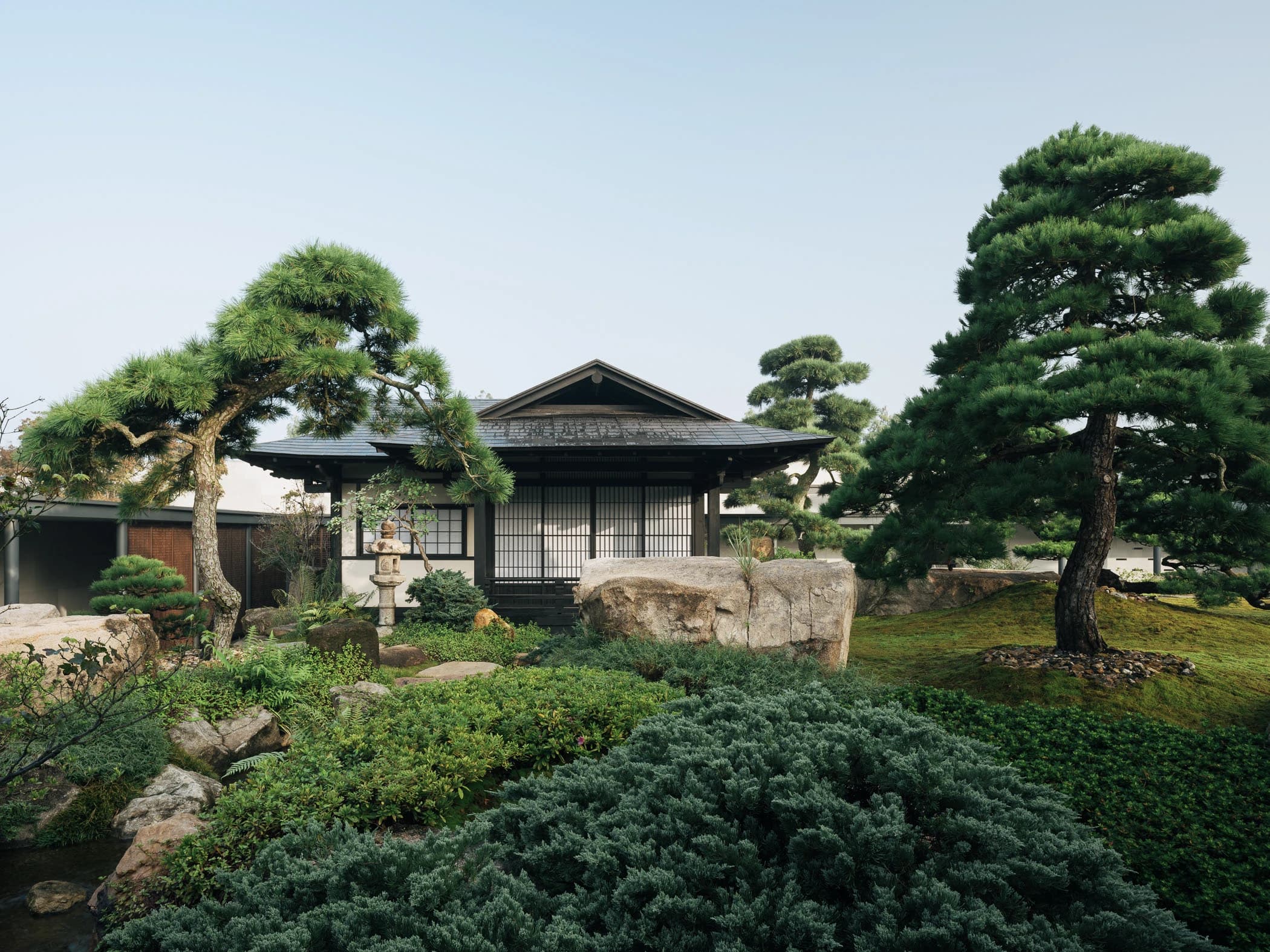 Garden No. 3|三号园林 - Xiao Tan-谭啸
