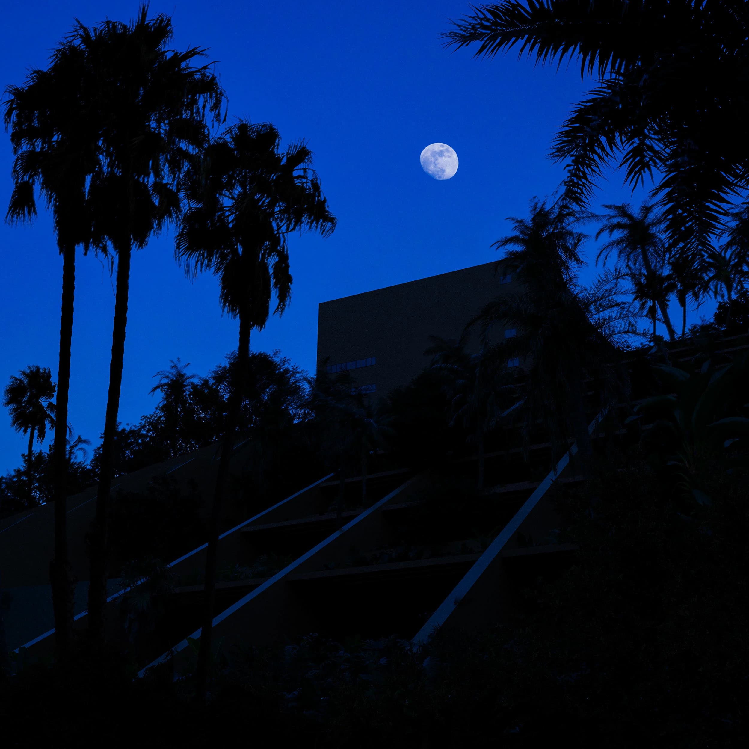 Hotel Brisas | Ixtapa