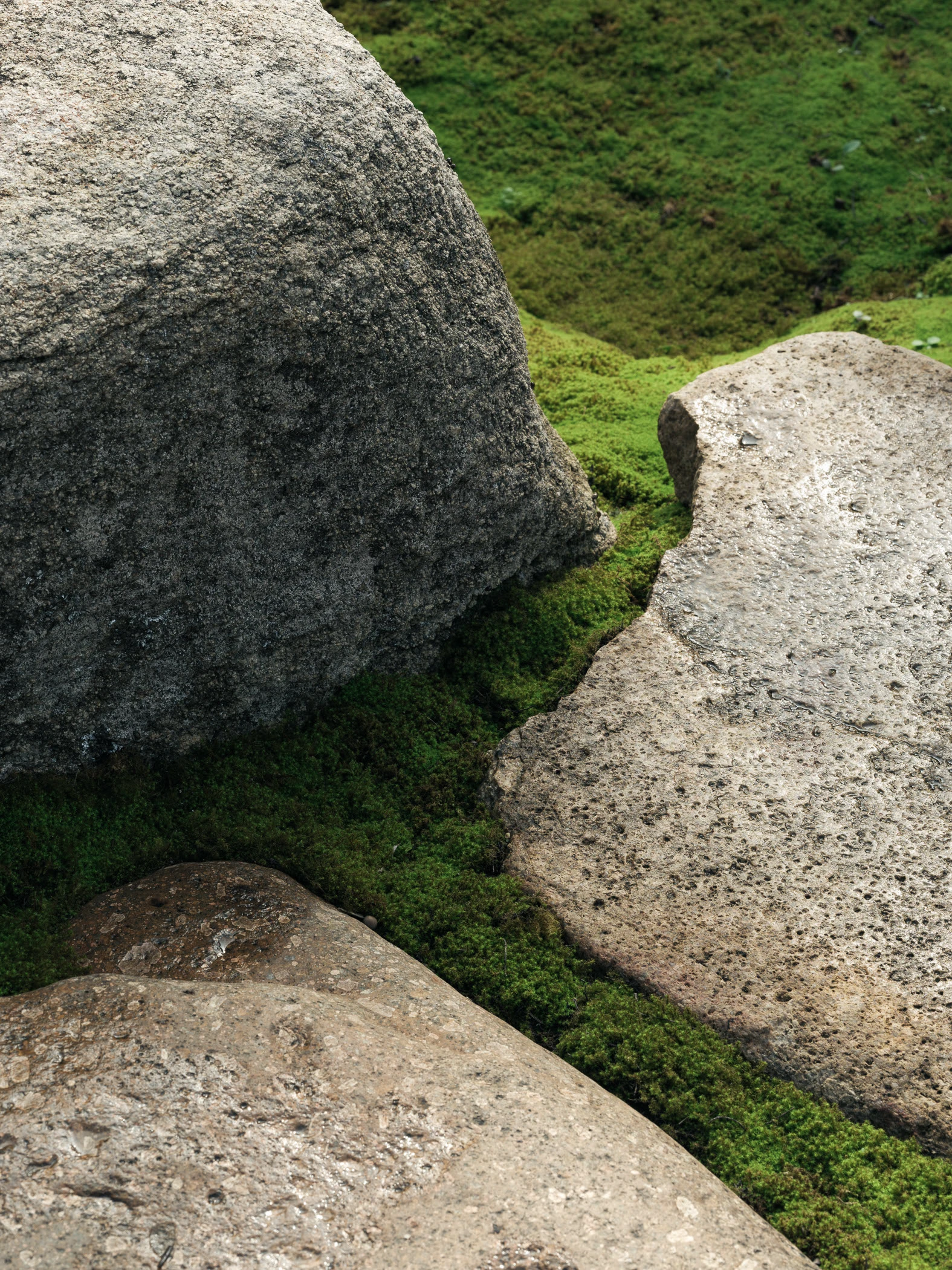Garden No. 3｜三号园林 - Xiao Tan-谭啸 - Görsel 12