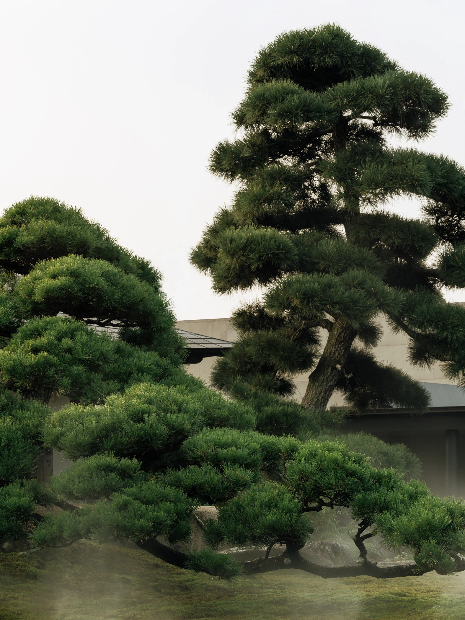 Garden No. 3｜三号园林 - Xiao Tan-谭啸 - Görsel 14