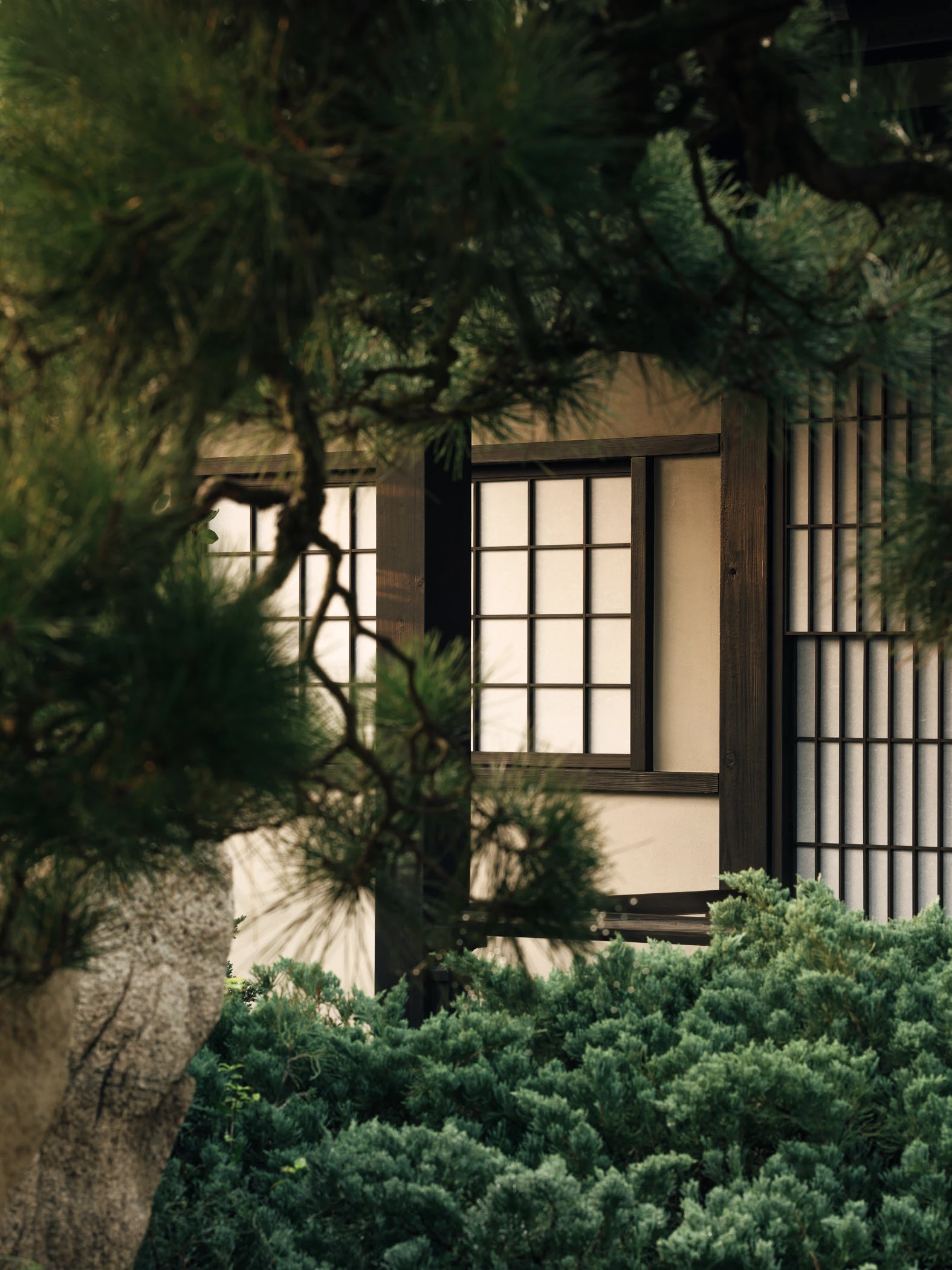 Garden No. 3｜三号园林 - Xiao Tan-谭啸 - Görsel 16