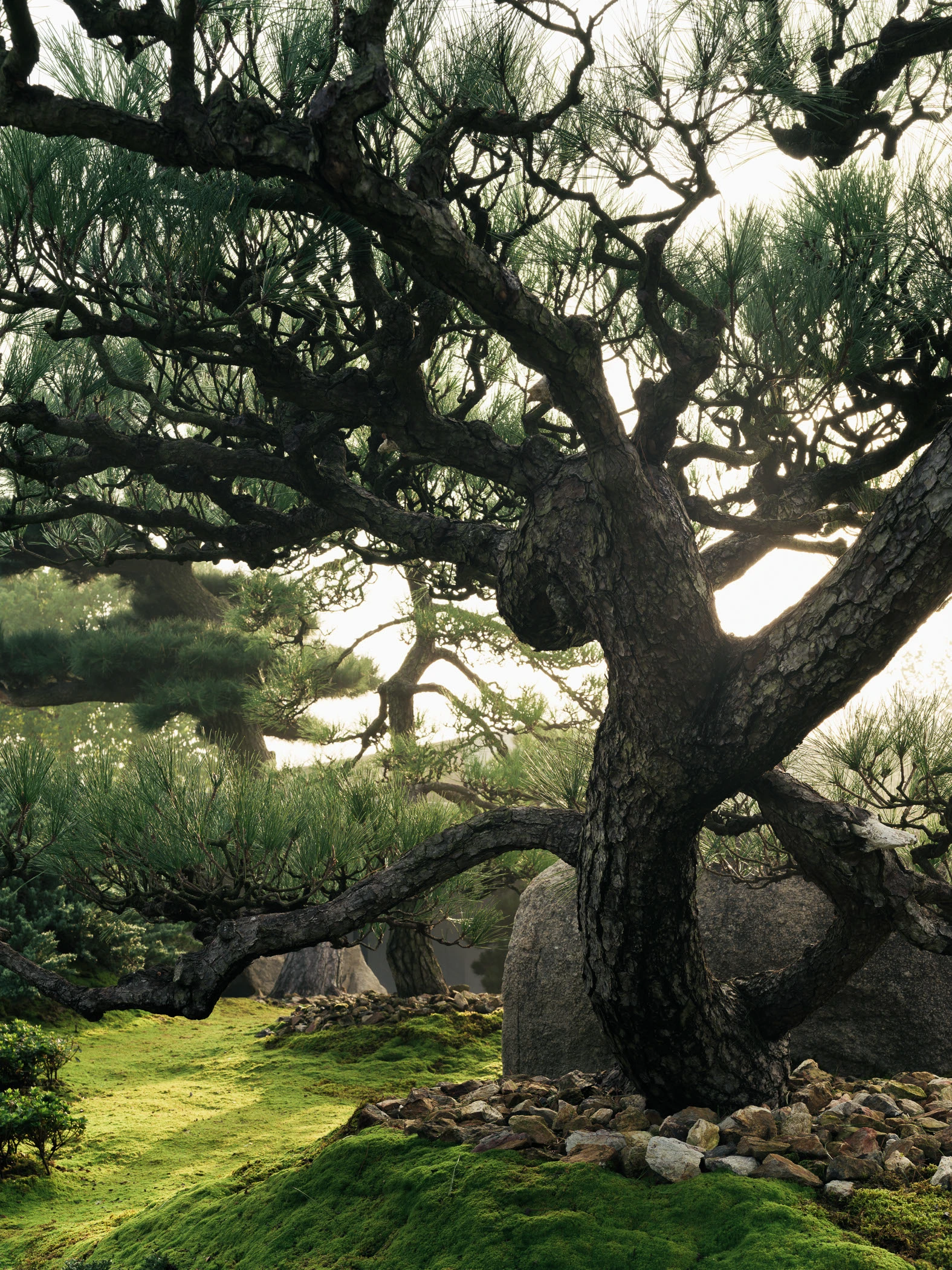 Garden No. 3｜三号园林 - Xiao Tan-谭啸 - Görsel 3