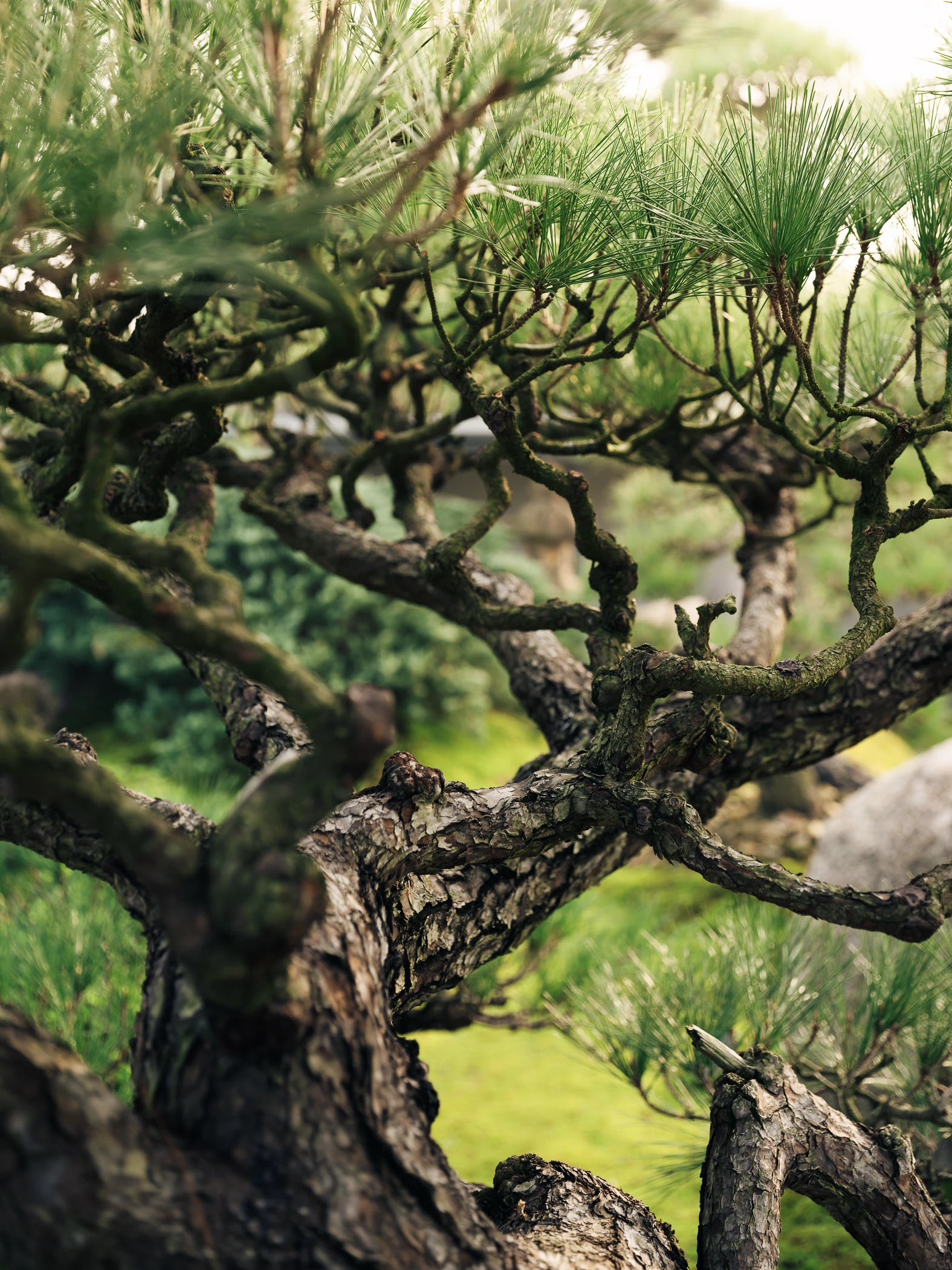 Garden No. 3｜三号园林 - Xiao Tan-谭啸 - Görsel 4