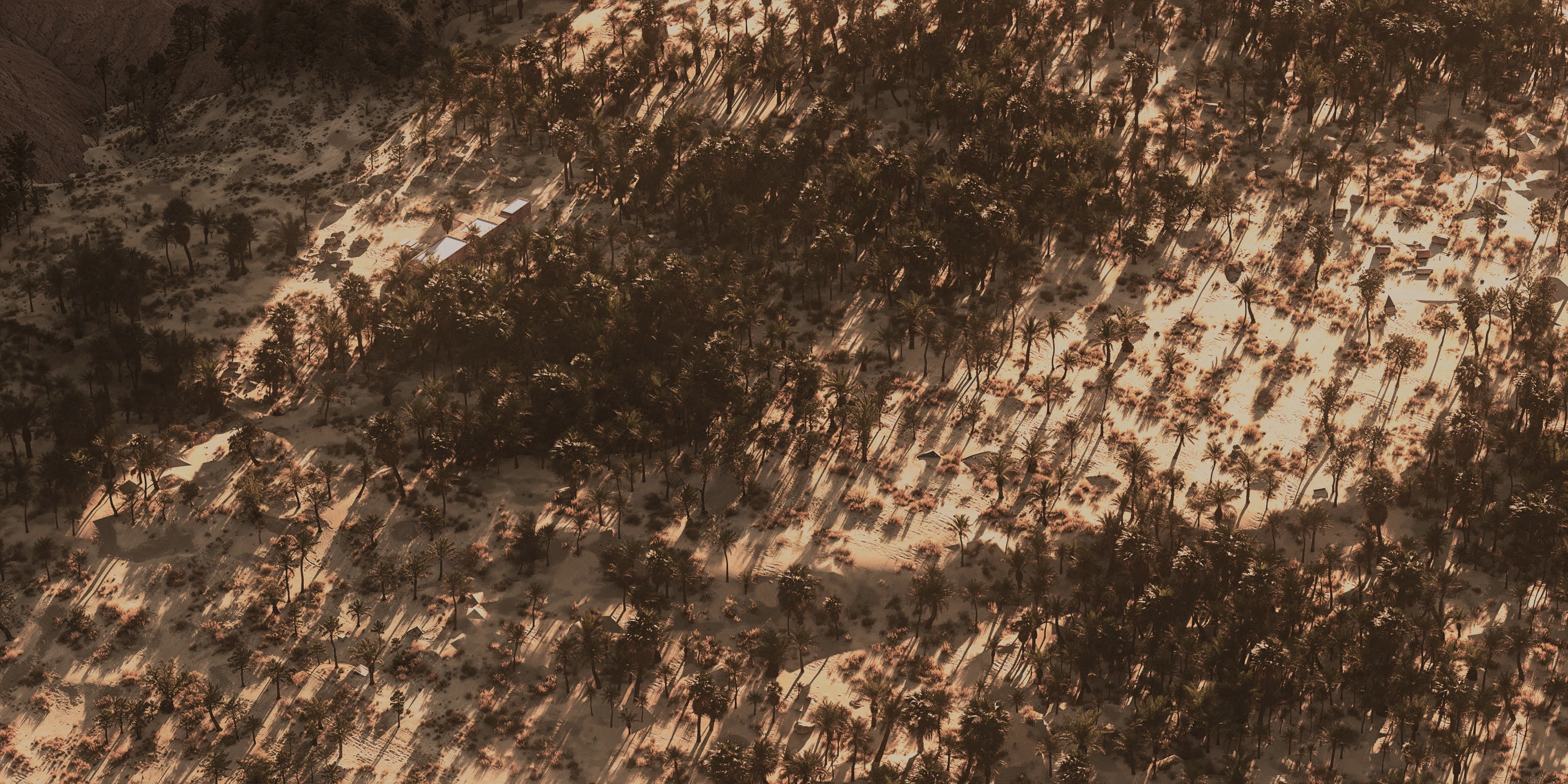 Palm House - Arthur Valente - Görsel 4