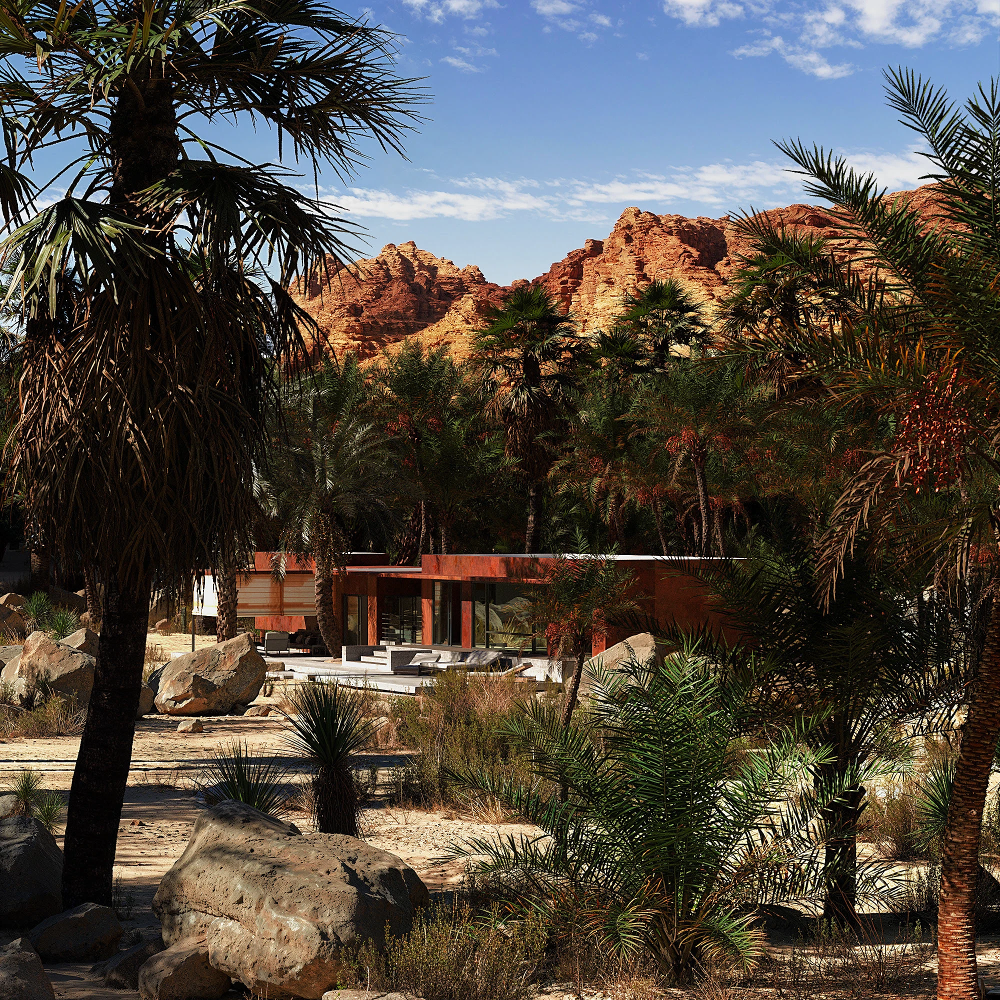 Palm House - Arthur Valente - Görsel 6