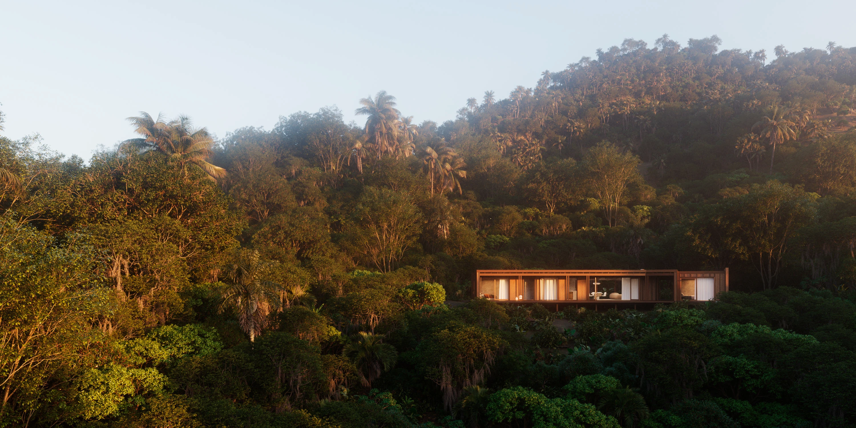 The Saga of the Biomes - Atlantic Forest - Arthur Valente