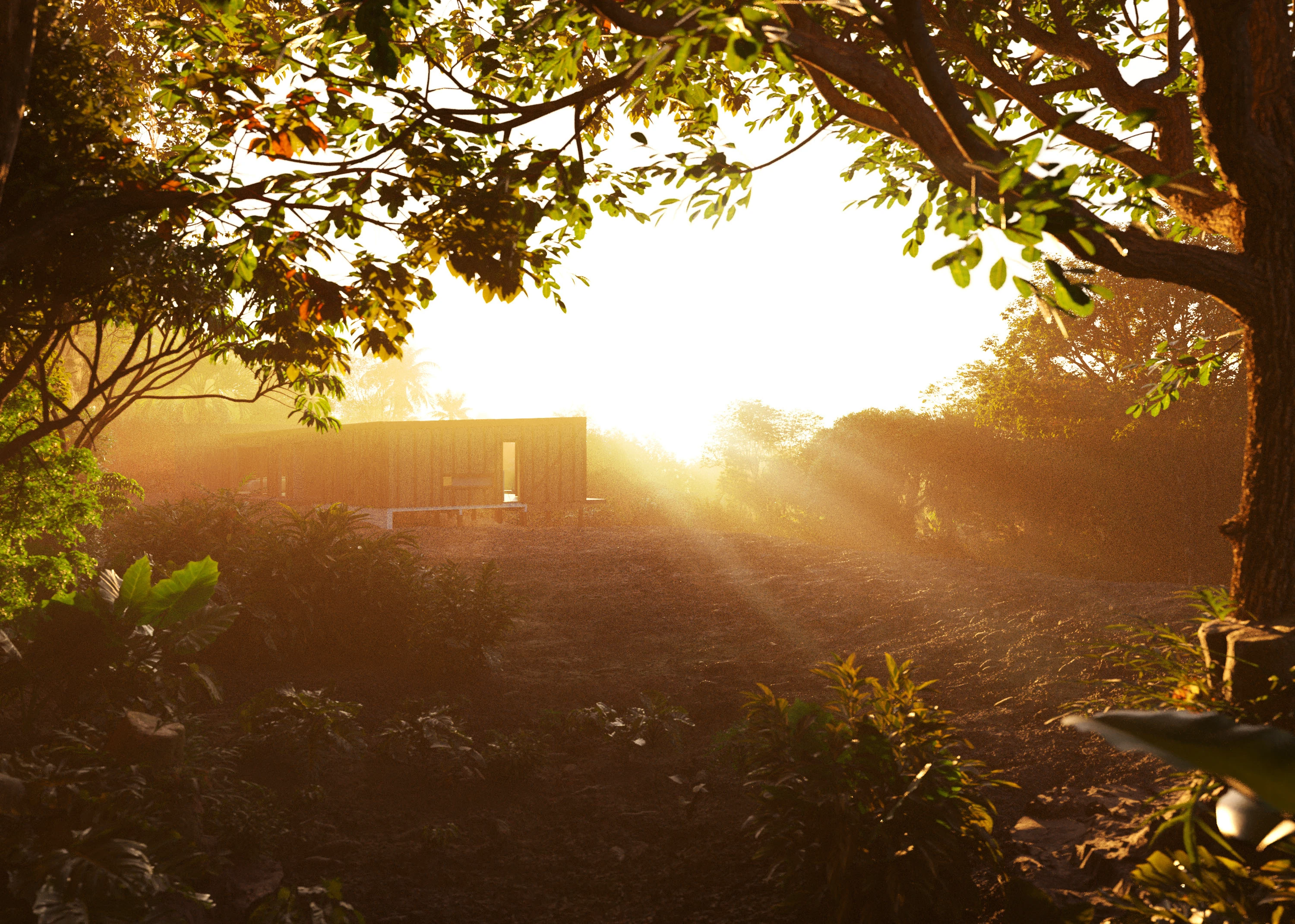The Saga of the Biomes - Atlantic Forest - Arthur Valente - Görsel 3